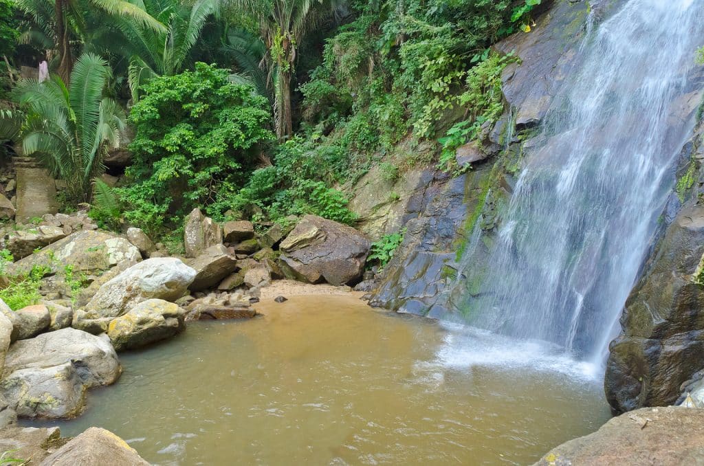 Kovay Gardens Experiences in Puerto Vallarta Day Trips 2