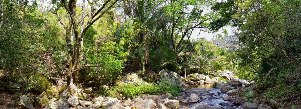 Kovay Gardens Experiences in Puerto Vallarta Day Trips 3
